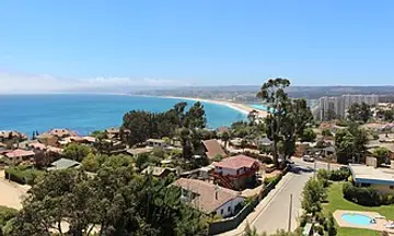 Foto de Algarrobo