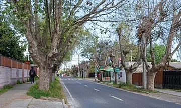 Foto de Hijuelas