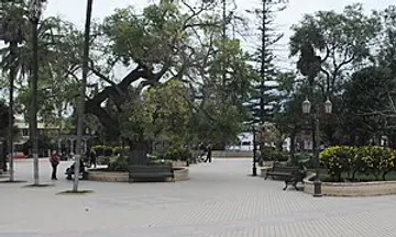 Foto de La Ligua