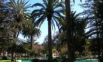 Foto de Ovalle