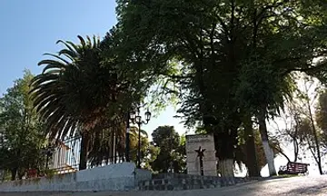 Foto de Pumanque