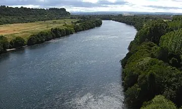 Foto de Río Bueno