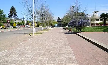 Foto de Traiguén